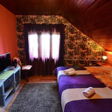 Daire Miris Dunja Zlatibor