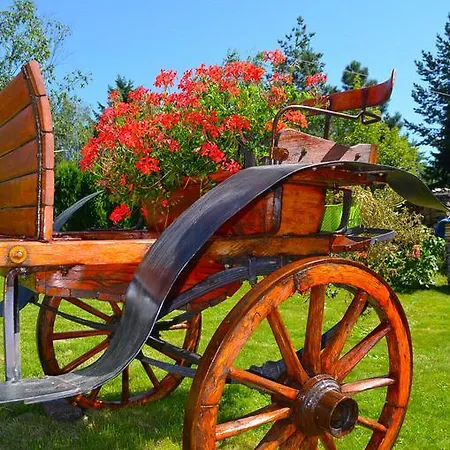 Miris Dunja Apartment *