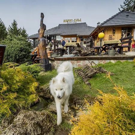 Daire Miris Dunja Zlatibor