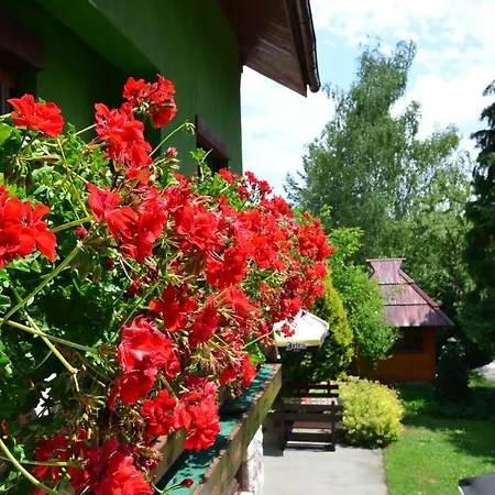 Apartment Miris Dunja *