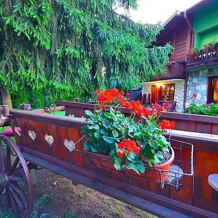 Miris Dunja Zlatibor