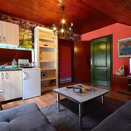 Daire Miris Dunja Zlatibor