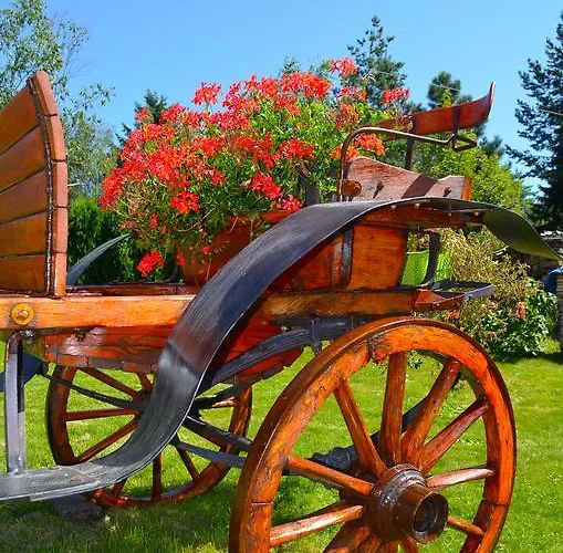 Miris Dunja Lejlighed *