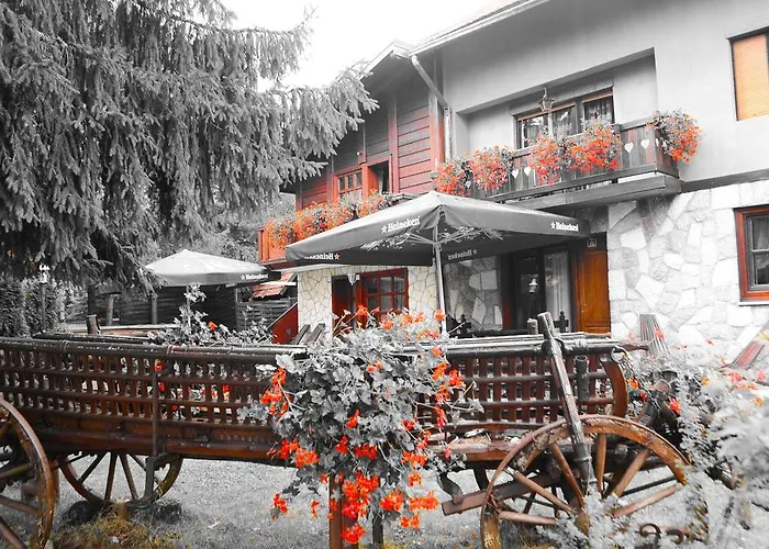 Miris Dunja * Zlatibor