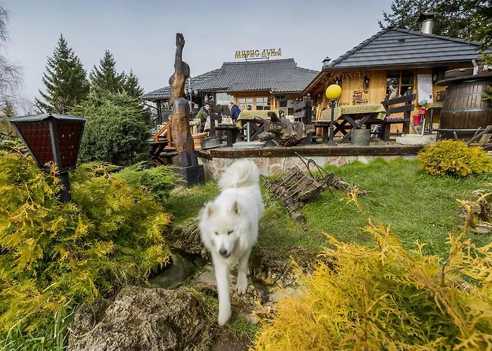 Lejlighed Miris Dunja Zlatibor