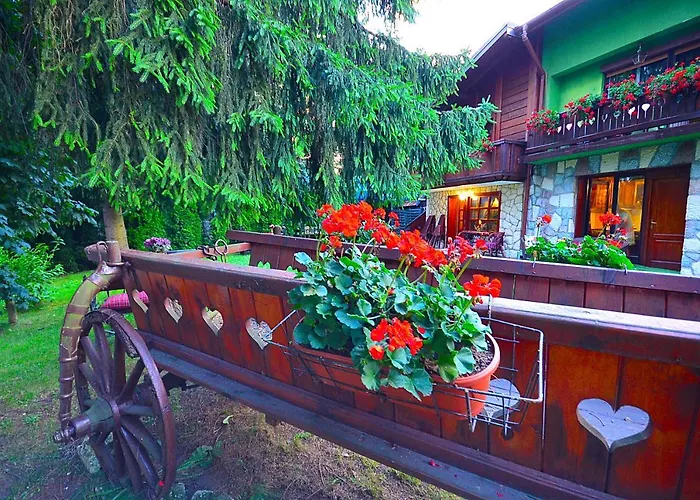 Miris Dunja Zlatibor